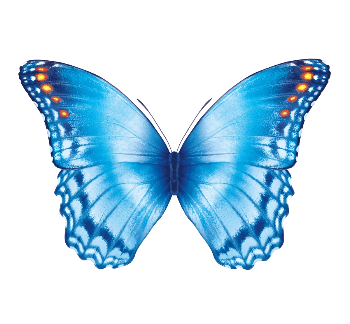 Kashinath Lahiri Public School