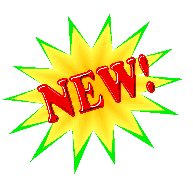 India International School